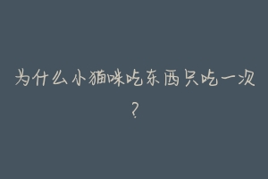 为什么小猫咪吃东西只吃一次？