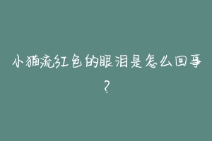 小猫流红色的眼泪是怎么回事？