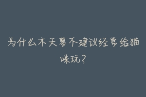 为什么木天蓼不建议经常给猫咪玩？