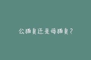 公猫臭还是母猫臭？