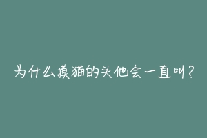 为什么摸猫的头他会一直叫？