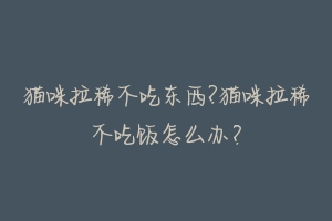 猫咪拉稀不吃东西?猫咪拉稀不吃饭怎么办？