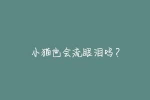 小猫也会流眼泪吗？