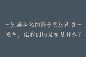 一只猫和它的影子旁边还有一把伞，给我们的启示是什么？