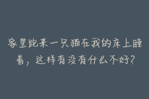 家里跑来一只猫在我的床上睡着，这样有没有什么不好？