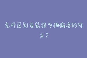 怎样区别黄鼠狼与猫偷鸡的特点？