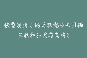 快要发情了的母猫能带去打猫三联和狂犬疫苗吗？