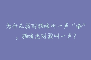 为什么我对猫咪叫一声“喵”，猫咪也对我叫一声？