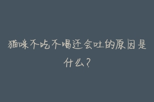 猫咪不吃不喝还会吐的原因是什么？