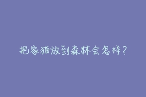 把家猫放到森林会怎样？