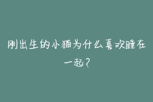 刚出生的小猫为什么喜欢睡在一起？