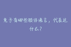 兔子有哪些肢体语言，代表这什么？