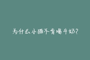 为什么小猫不肯喝牛奶？