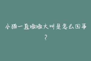 小猫一直嗷嗷大叫是怎么回事？