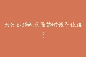 为什么猫吃东西的时候不让碰？