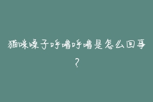 猫咪嗓子呼噜呼噜是怎么回事？