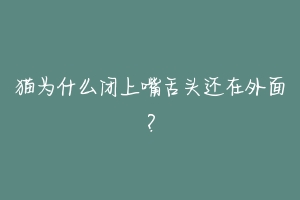 猫为什么闭上嘴舌头还在外面？