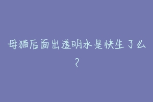 母猫后面出透明水是快生了么？