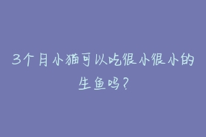 3个月小猫可以吃很小很小的生鱼吗？