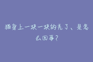 猫身上一块一块的秃了、是怎么回事？