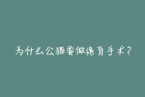 为什么公猫要做绝育手术？