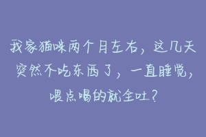 我家猫咪两个月左右，这几天突然不吃东西了，一直睡觉，喂点喝的就全吐？