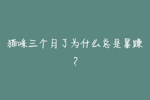 猫咪三个月了为什么总是暴躁？