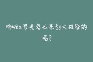 哆啦a梦是怎么来到大雄家的呢？