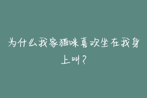 为什么我家猫咪喜欢坐在我身上叫？