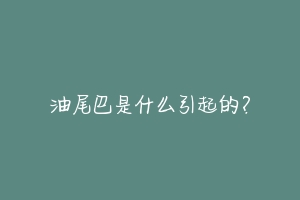 油尾巴是什么引起的？