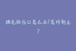 猫老舔伤口怎么办?怎样制止？