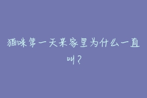 猫咪第一天来家里为什么一直叫？