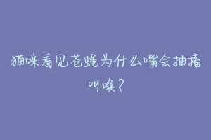 猫咪看见苍蝇为什么嘴会抽搐叫唤？