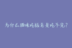 为什么猫咪吃饭总是吃不完？