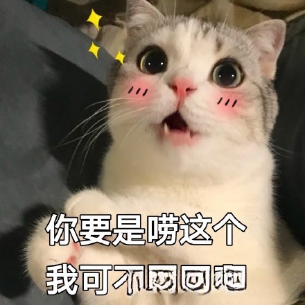 为什么狸花猫老是半夜喜欢叫？