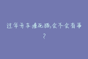 过年开车撞死猫,会不会有事？