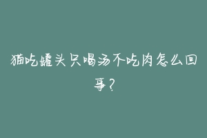 猫吃罐头只喝汤不吃肉怎么回事？