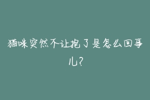 猫咪突然不让抱了是怎么回事儿？