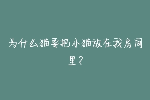 为什么猫要把小猫放在我房间里？