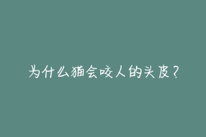 为什么猫会咬人的头皮？