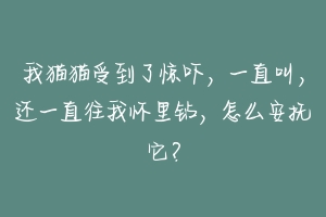 我猫猫受到了惊吓，一直叫，还一直往我怀里钻，怎么安抚它？