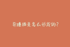 异瞳猫是怎么形成的？