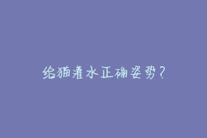 给猫灌水正确姿势？