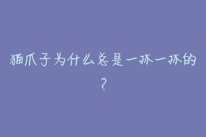 猫爪子为什么总是一抓一抓的？