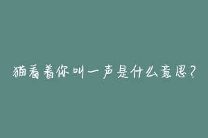 猫看着你叫一声是什么意思？