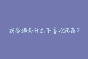 我家猫为什么不喜欢爬高？