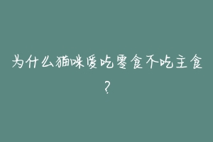 为什么猫咪爱吃零食不吃主食？