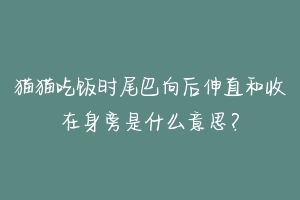 猫猫吃饭时尾巴向后伸直和收在身旁是什么意思？