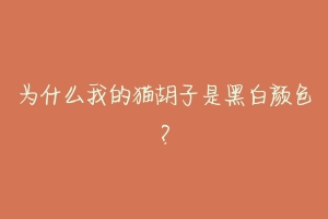 为什么我的猫胡子是黑白颜色？