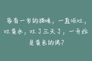 家有一岁的猫咪，一直呕吐，吐黄水，吐了三天了，一开始是黄色的偶？